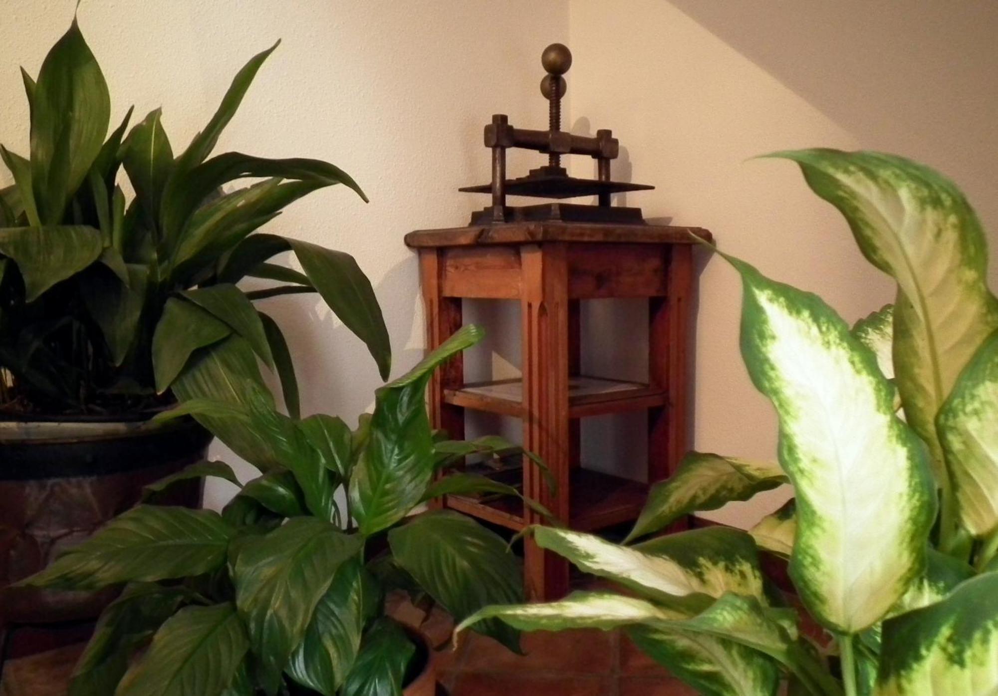 Posada De Muno Munorrodero Ngoại thất bức ảnh