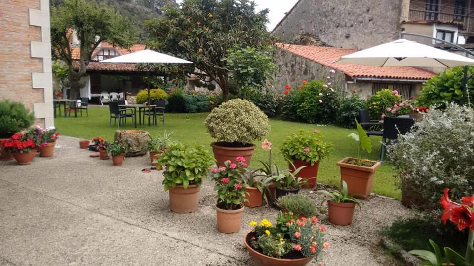 Posada De Muno Munorrodero Ngoại thất bức ảnh